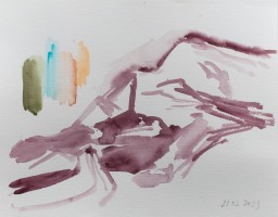 DSC0553
